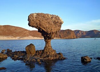 Playa Pichilingue y el hongo de Balandra en La Paz, BCS