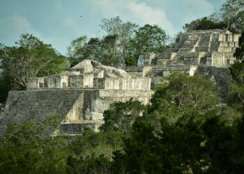 Reinas y Reyes Mayas