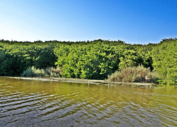 Aventura y diversión en tres lagunas de Acapulco