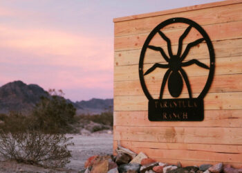 Travel Nevada publica la segunda lista anual de las «Siete maravillas más raras de Nevada»