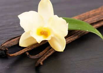 Leyenda de la Vainilla