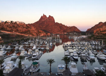 Bahía de San Carlos, auge de fulgor