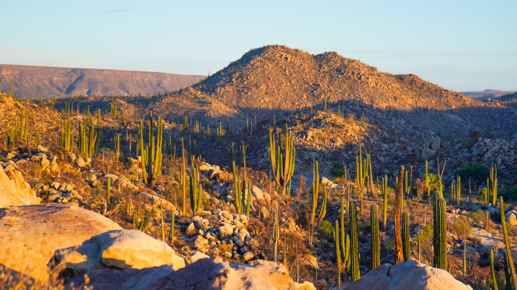 San Quintín, BC. Sierra