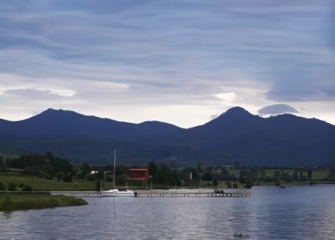 Presa del Nogal