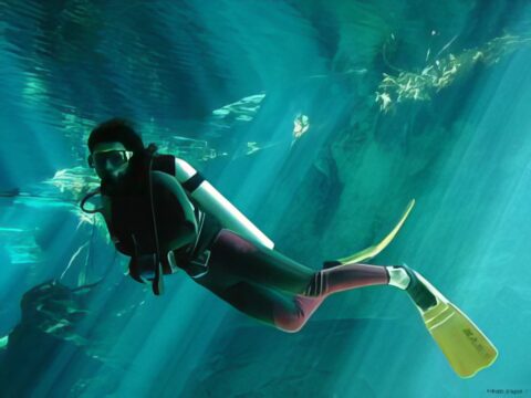 Buceo en la Riviera Maya