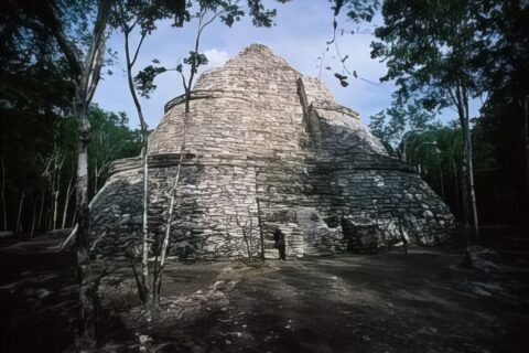 Cobá