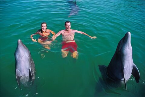 Xcaret, Nado con delfines