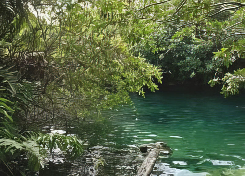 Cenote Xcacelito