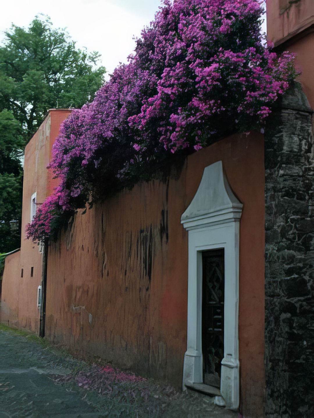 Calle en San Ángel