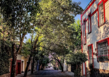 Conoce las cuatro joyas del Barrio de San Ángel