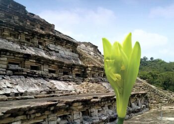 Xanath, regalo de México para el mundo