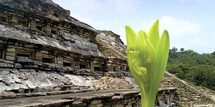 Xanath, regalo de México para el mundo