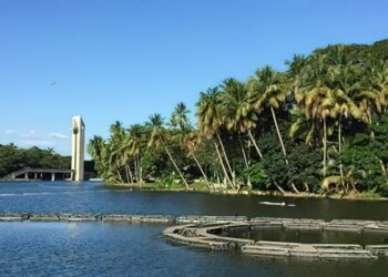 Vacaciones en Villahermosa: ¡Descubre sus encantos y cómo llegar!