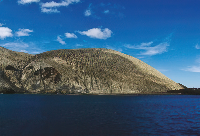 Archipiélago de Revillagigedo. Santuario de tiburones