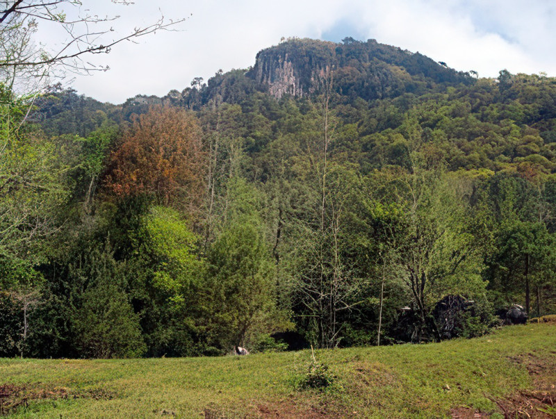 Biósfera El Cielo