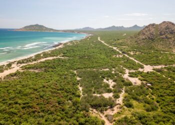 Cabo Pulmo: ejemplo de conservación y destino obligatorio en Los Cabos