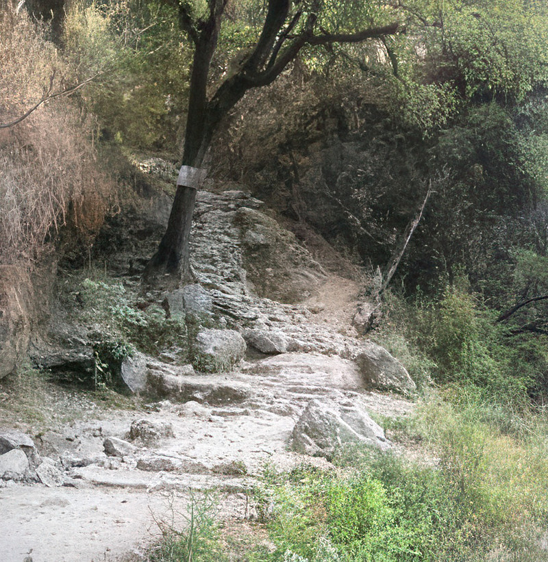 Camino a la cima del Tepozteco