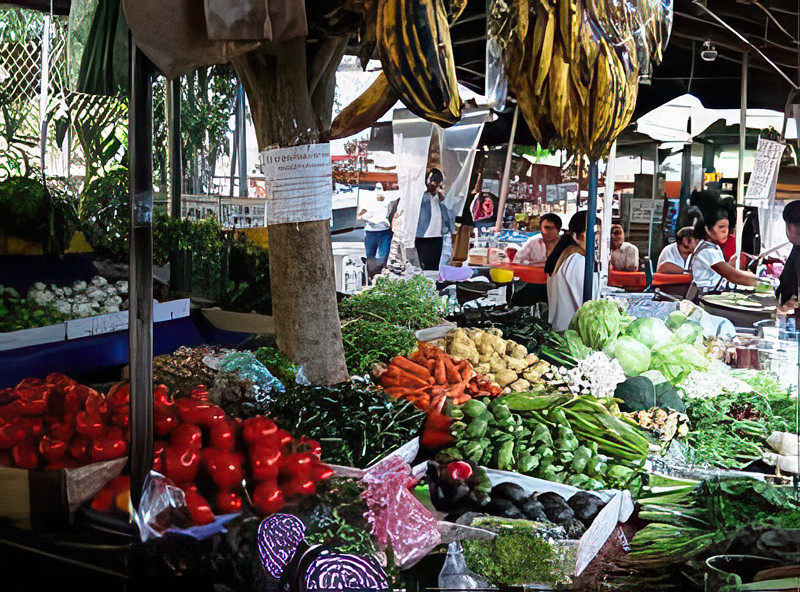 Mercados de Tepoztlán