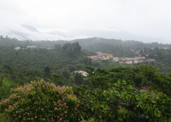 Ruta del Café: Oro del Soconusco de Chiapas