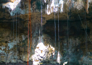 Cenotes de Yucatán: opciones refrescantes y seguras