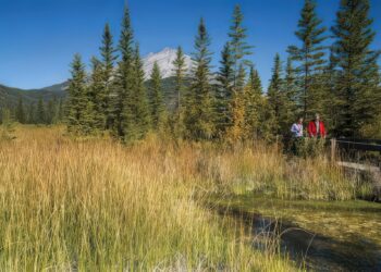 Adrenalina pura en el Canada Olympic Park y Cave & Basin