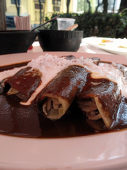 Enchiladas de Mole Poblano con crema y queso.